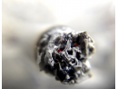 Testovanie na THC – marihuanu